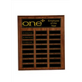 24 Plate Recognition Pocket Perpetual Plaque (12"x15")